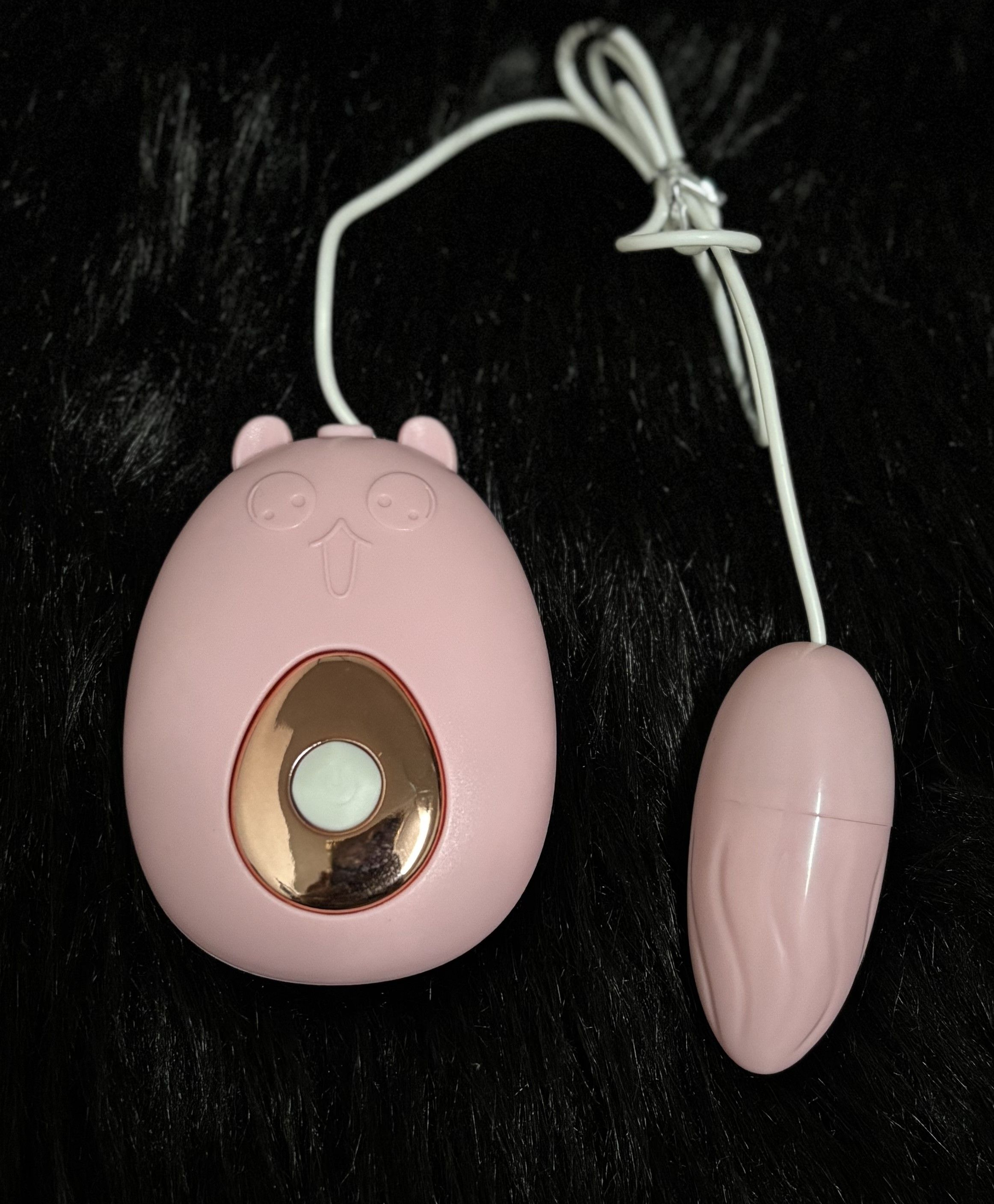 Wired Remote-Control Egg Vibrator