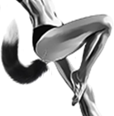 Fluffy Fox Tail Anal Plug with Polished Metal Base